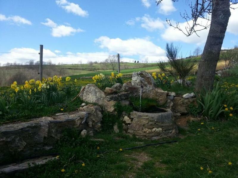 Casa Rural Mollo, Vall De Camprodon Zewnętrze zdjęcie