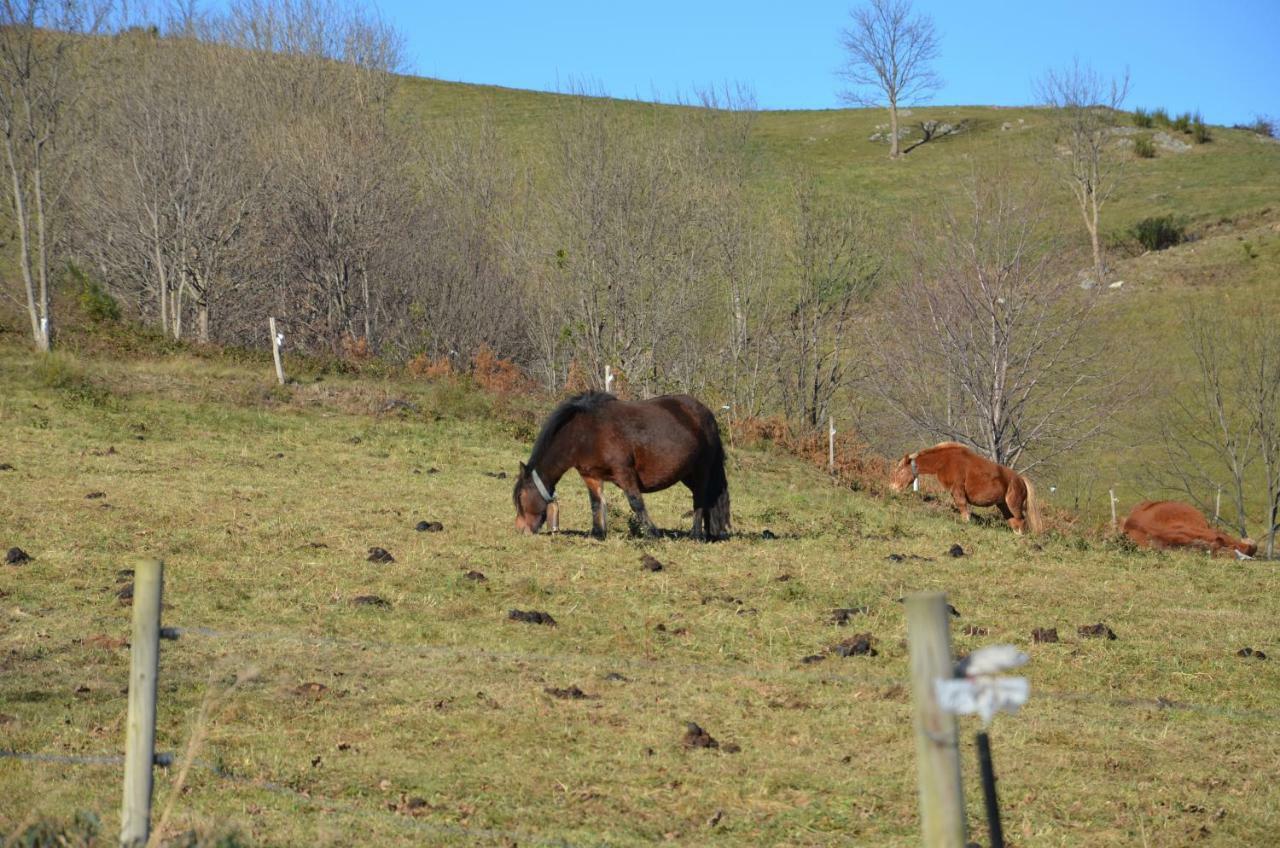 Casa Rural Mollo, Vall De Camprodon Zewnętrze zdjęcie